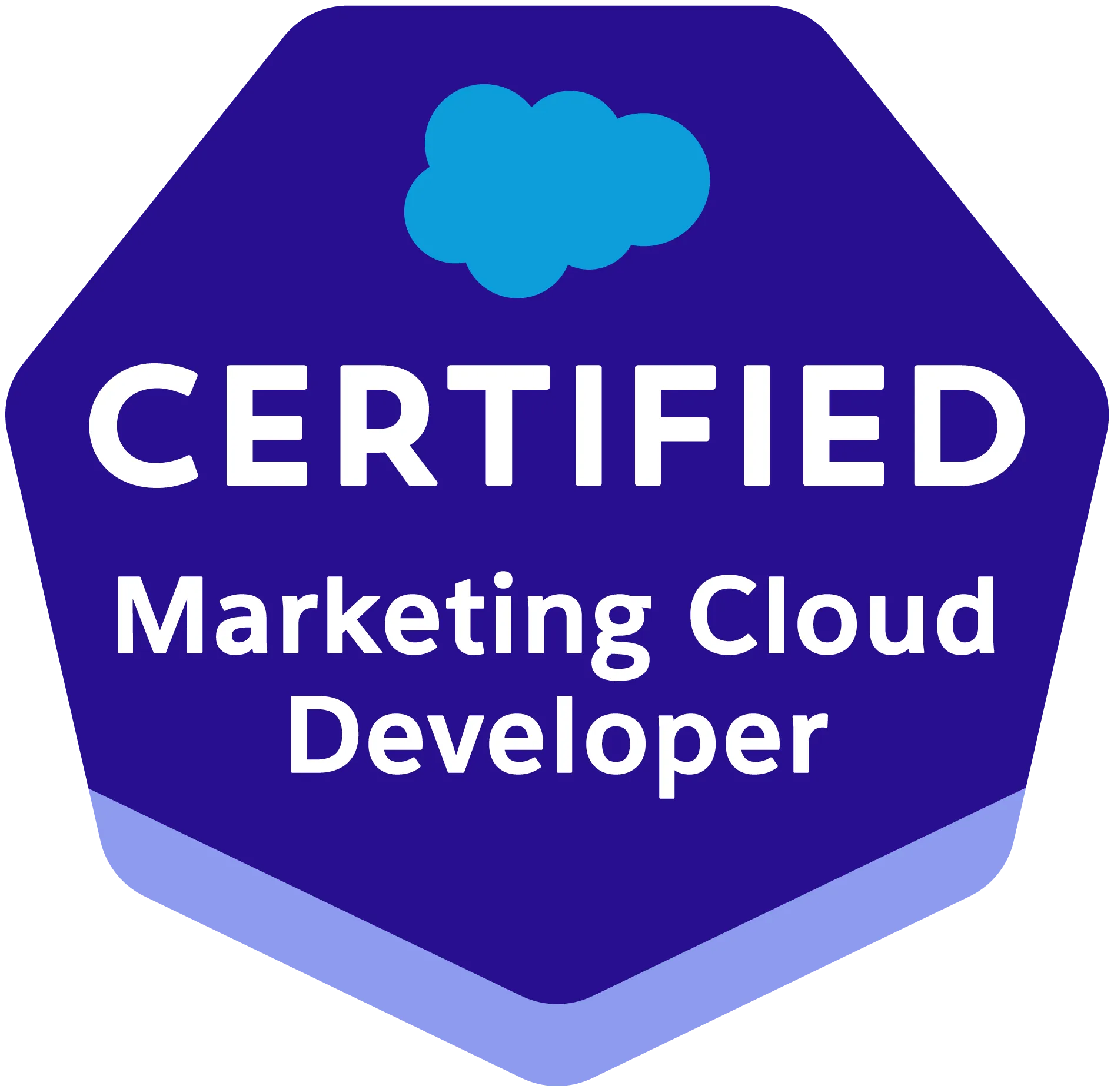 Salesforce Certified Marketing Cloud Developer (Alt)